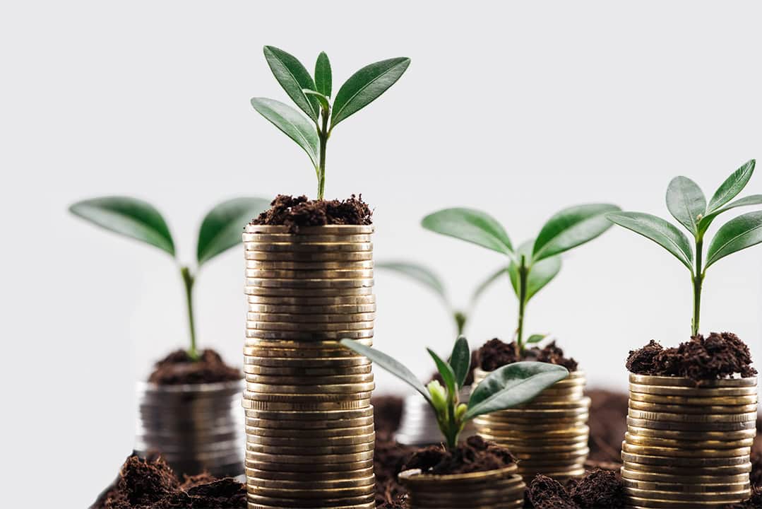 Stacks of coins with small green plants growing on top, symbolizing financial growth, investment, and sustainability against a plain white background.